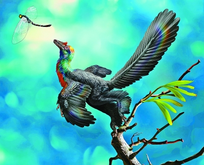 亿年前彩虹恐龙 翅膀炫彩夺目或可像鸟儿一样飞行