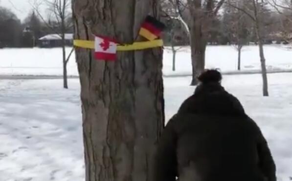 加拿大挂德国国旗＂迎接＂比利时国王 因两国国旗相似闹乌龙