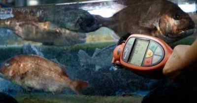泰国合法进口日本福岛海域水产品 称检测后可以放心食用