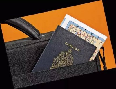 加拿大现山寨护照申请网站 时隔一年多仍未被查处