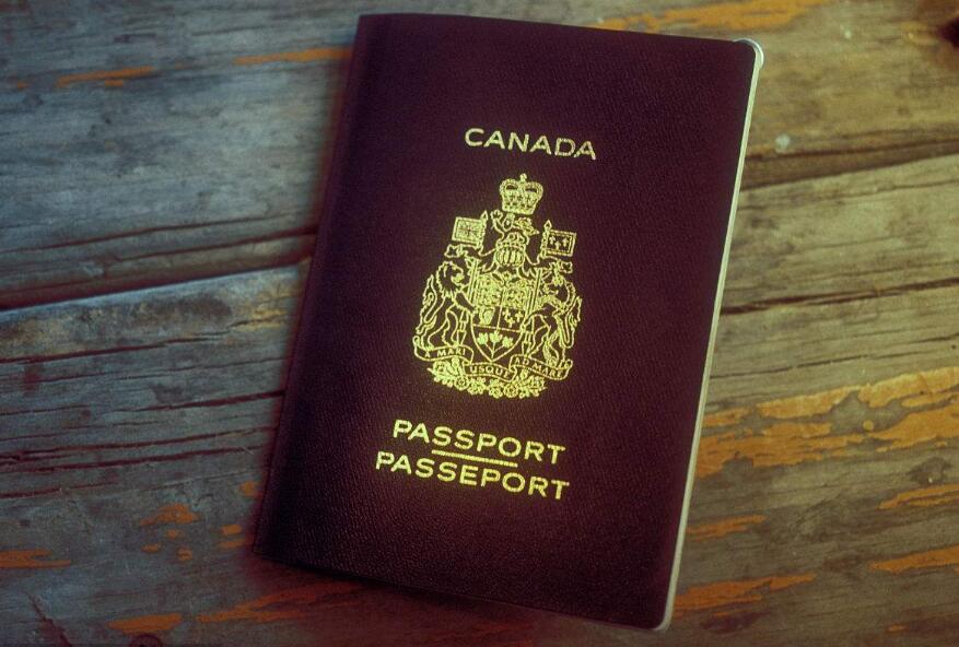 加拿大现山寨护照申请网站 时隔一年多仍未被查处