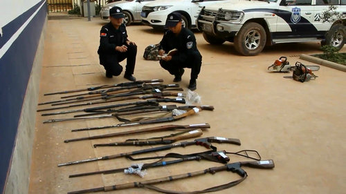 云南破猎杀动物案 警方缴获14支猎枪查获国家重点保护动物5只