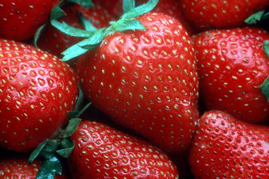 最脏蔬果 没有想到美国对47种蔬菜水果检查最脏的水果竟是草莓