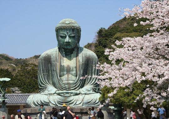 日本对国宝镰仓大佛进行＂体检＂ 不少地方沾上口香糖需要清理