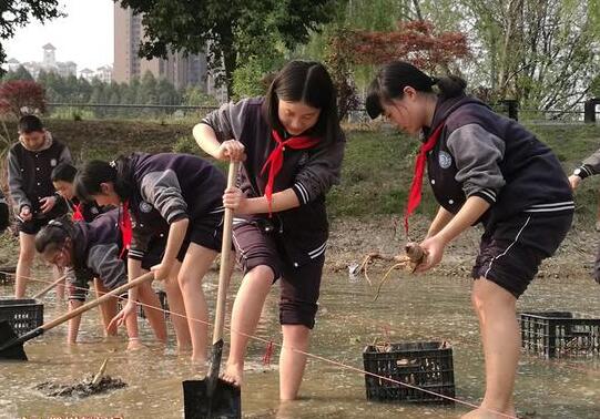 成都一中学设＂校园农场＂ 学生上课就是栽花捕鱼非常有趣