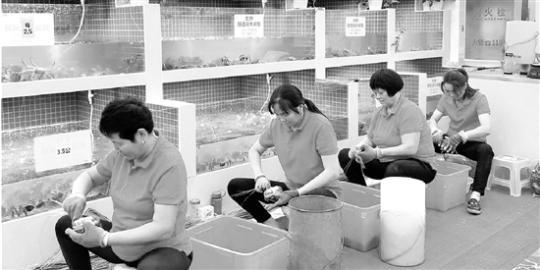 杭州捆蟹大妈生意忙 平均一天能捆3000只螃蟹