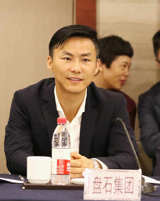 盘石田宁向国务院金融稳定委员会办公室提建议
