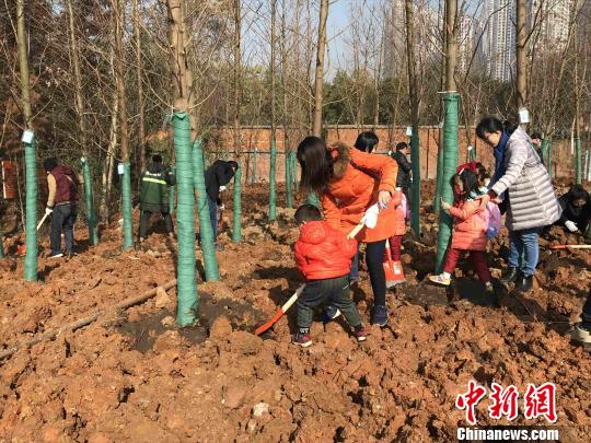 18日，武汉市组织开展首次冬季全民义务植树活动 张芹 摄