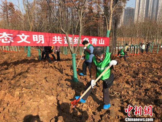 武汉首次开展冬季义务植树活动