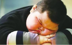 国内首款减脂巧克力，波士度魔力可可