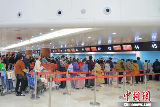 图为旅客在海口美兰国际机场排队办票。美兰机场 供图