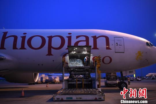 重庆开通首条前往非洲的定期货运航线