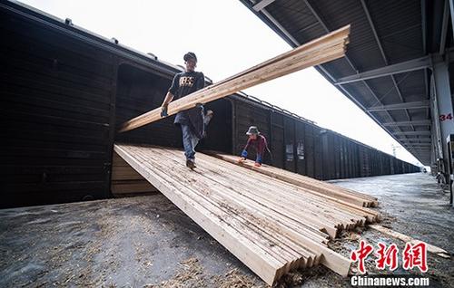 资料图：6月13日，拉萨西站货场装卸工人们正在搬运一批产自俄罗斯的木材。<a target='_blank'  data-cke-saved-href='http://www.chinanews.com/' href='http://www.chinanews.com/'>中新社</a>记者 何蓬磊 摄