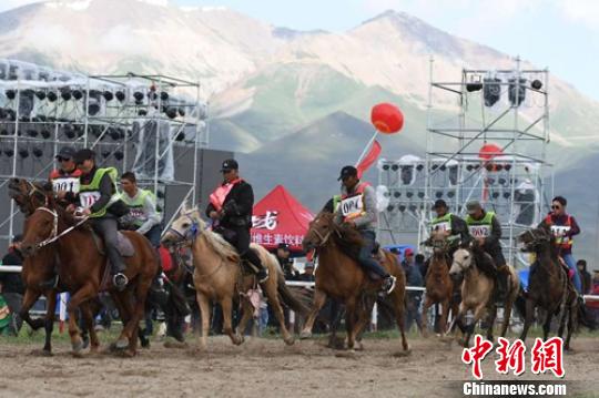 新疆巴音布鲁克草原举办赛马竞技活动300匹马参赛