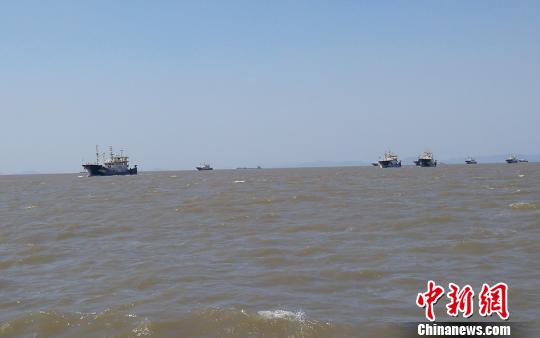 图为：东海伏季休渔期结束，浙江台州沿海全面开渔。　何贤庆 摄