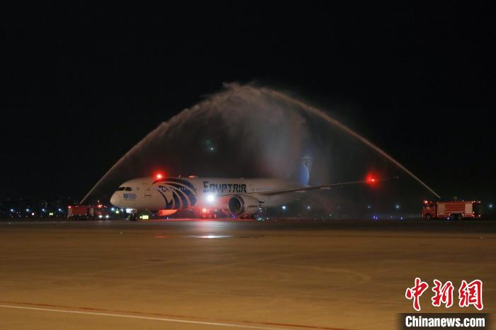 埃及航空MS953航班降落杭州机场。　谭申捷 摄