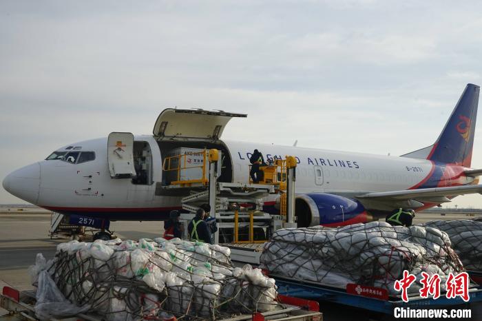 西安咸阳国际机场年货邮吞吐量超38万吨。　供图 摄