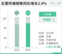 2019年上汽通用五菱共销售1660007辆 其中五菱品牌累计销售1055981辆