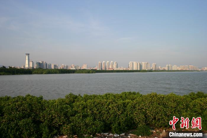 广东2处湿地上榜国家重要湿地名录