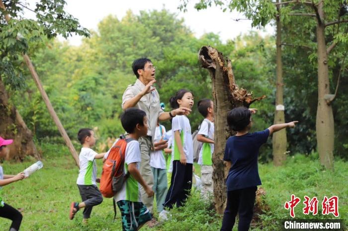 广东省首批60名自然教育导师出炉