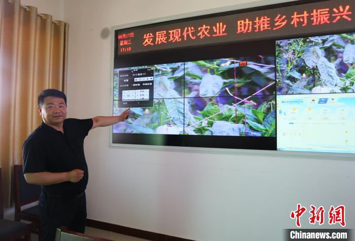 下双镇办公室副主任杨志强正在通过数据监测了解农作物生长状况。　高展 摄