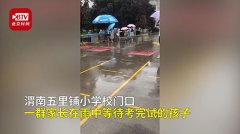 陕西一小学老师举雨棚护送小学生放学 家长表示虽然很搞笑但是很暖心