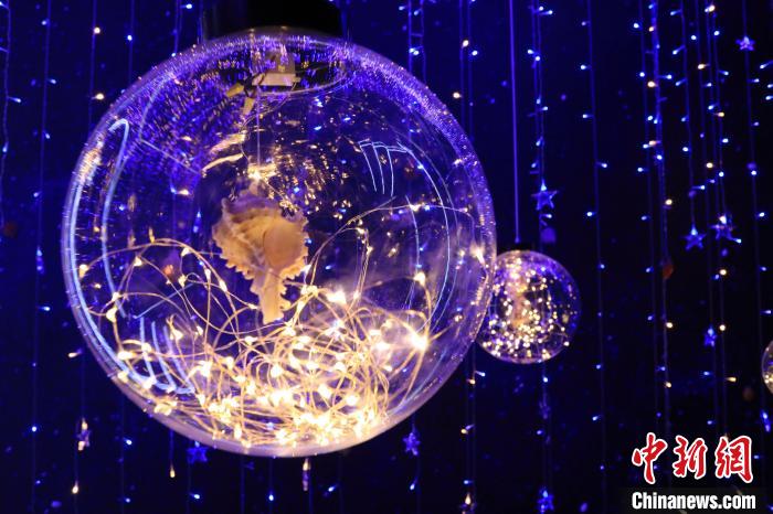 7月16日，山东博物馆将贝壳放置在水晶灯球中制作成贝灯，供观众欣赏。　李欣 摄