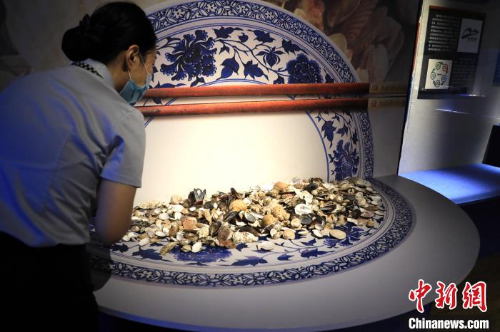 7月16日，山东博物馆工作人员正在清点展出的生活常见贝类，做展览最后准备。　李欣 摄