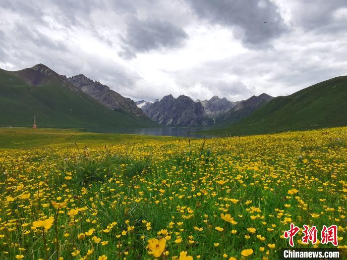 图为6月的青海省果洛藏族自治州久治县花开草绿。　赵海梅 摄