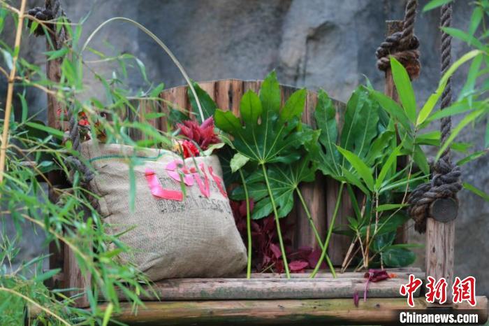 保育员们特意摘取了鲜花和绿草放在“LOVE托特包”旁做陪衬。上海野生动物园供图