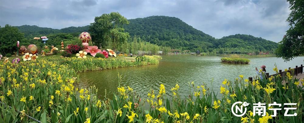 青秀山风景区举办2020年青秀山水生花卉展，为广大市民游客提供一个游园赏花的好去处。记者 潘浩 摄