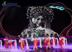 今年泰州梅艺节与往年相比更加突出“梅”元素 将于9月28日开幕